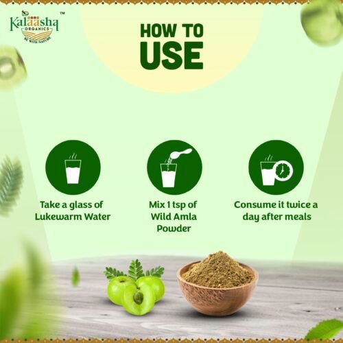 Amla Fruit Powder - Image 4