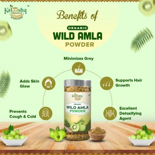 Amla Fruit Powder