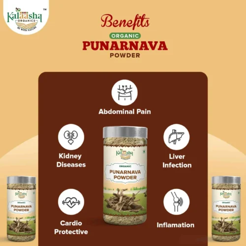 Natural Punarnava Powder